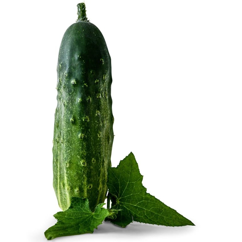 Pepino Early Fortune