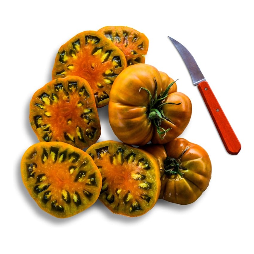 Tomate Thorburn's Terra-Cotta