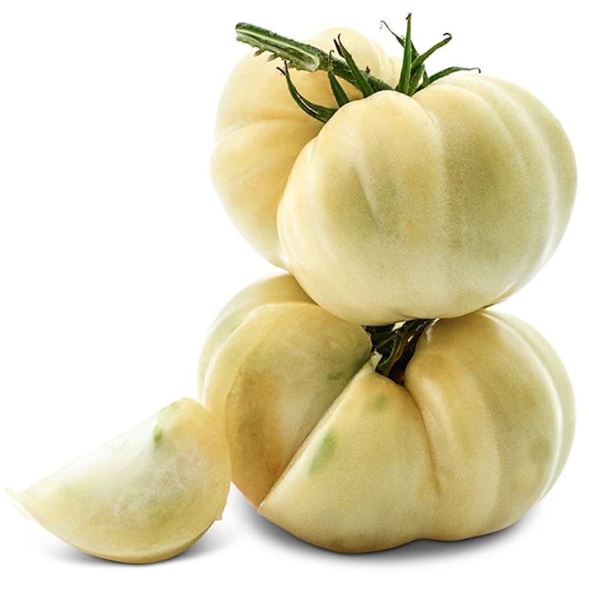 Tomate White Beauty