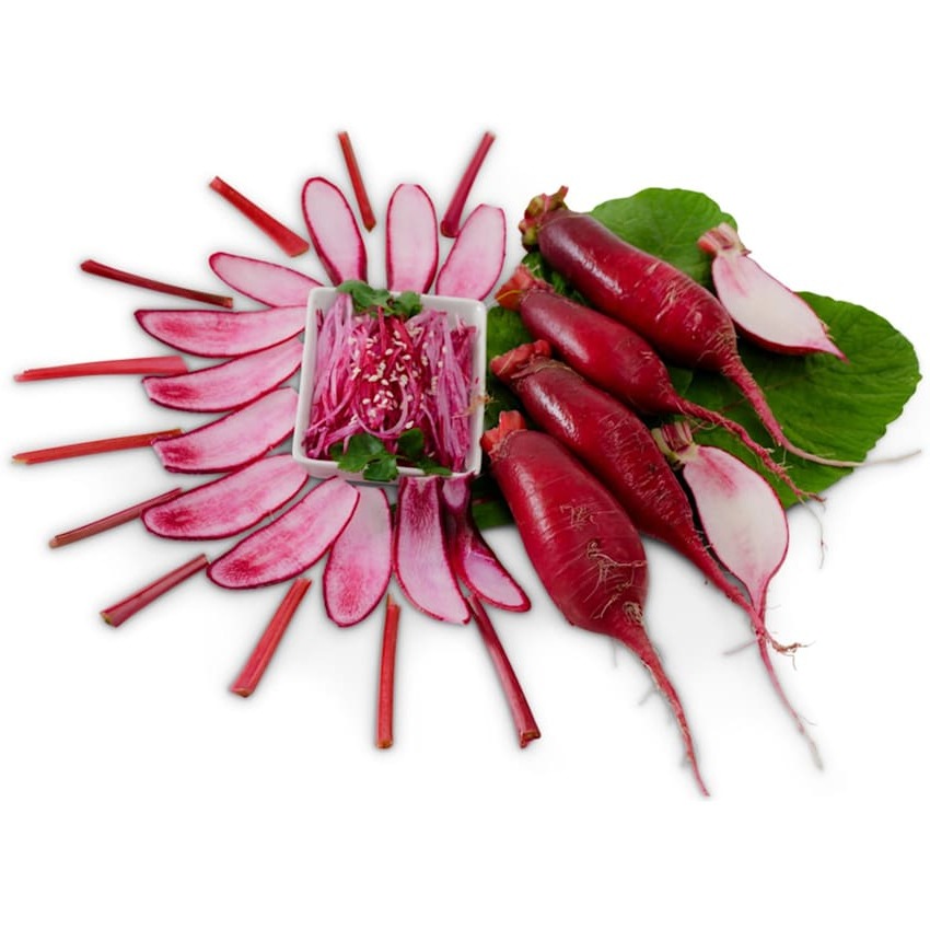 Rabanete Red Beauty