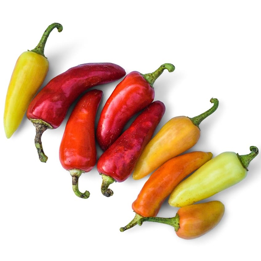 Pimenta Santa Fe Grande