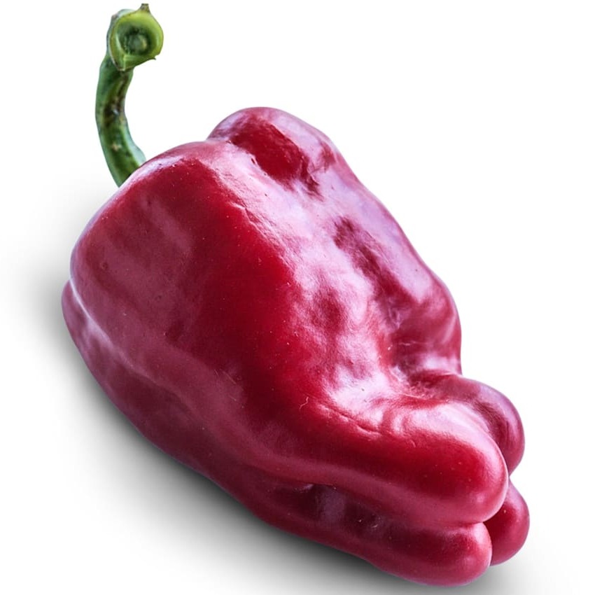 Pimenta Leutschauer Paprika