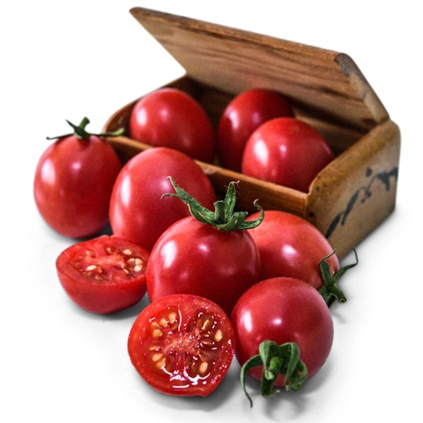 Tomate Lancheira Alemã