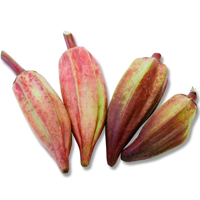 Quiabo Alabama Red